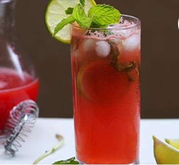 Watermelon Mojito