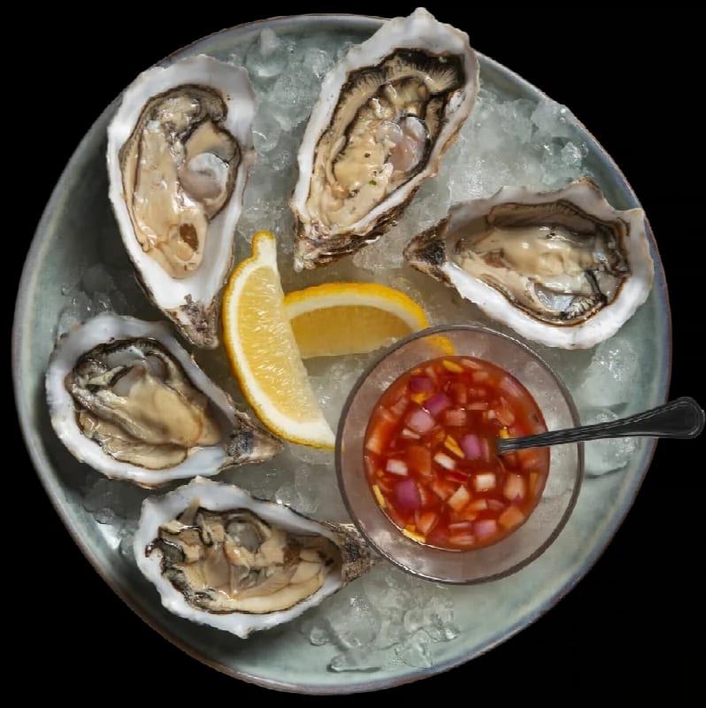 Oysters