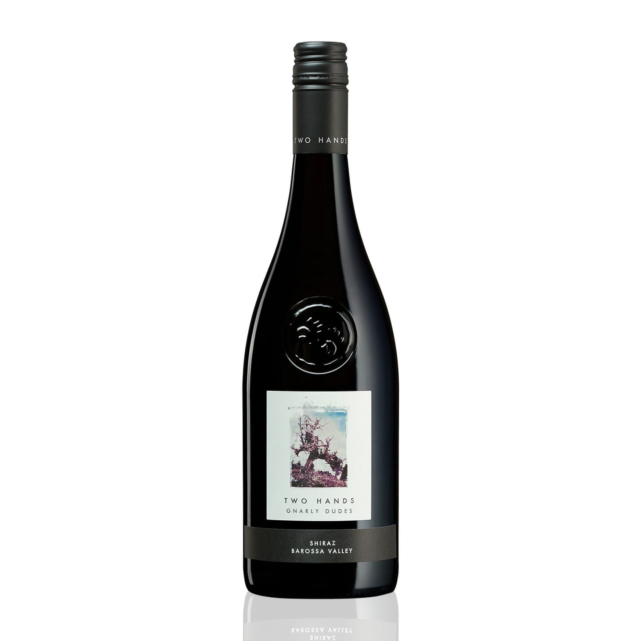 Two Hands, Gnarly Dudes Shiraz Barossa Valley 2023 price in Mumbai | Talli