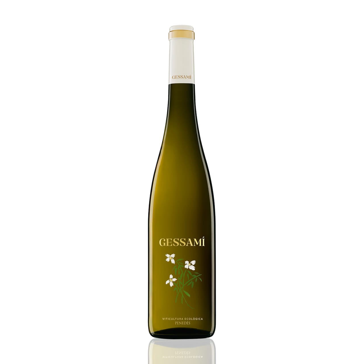Gramona, Gessami 2024 price in India | Talli