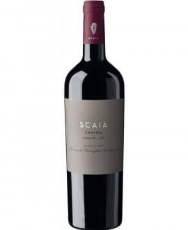 SCAIA CORVINA price in India | Talli